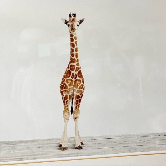 Restoration Hardware Baby Animal Portrait Giraffe Weathered Grey Frame Brown HR - Picture 2 of 15